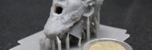 3D Print - stampa 3d con resina